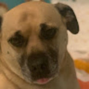 Meet your Posher, Theadora